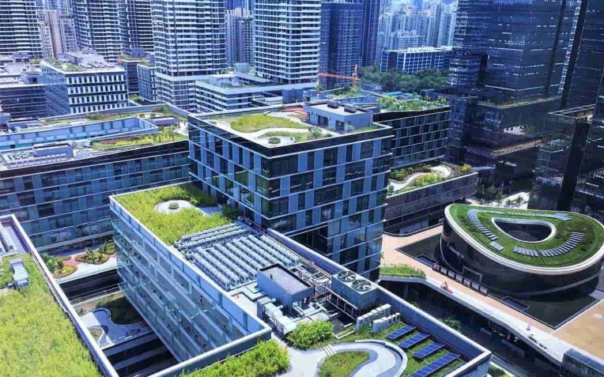 深圳湾科技生态园项目实景图二